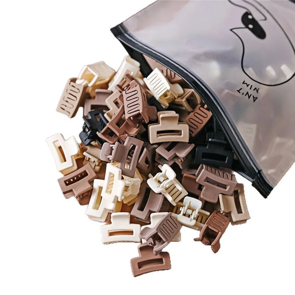 Charming Mini Hair Clips